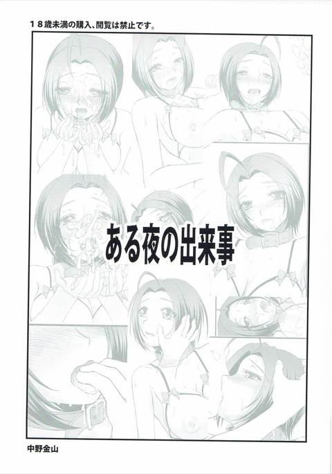 ある夜のデキゴト