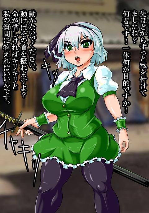 妖夢VS師匠おじさん 妖夢VS師匠おじさん