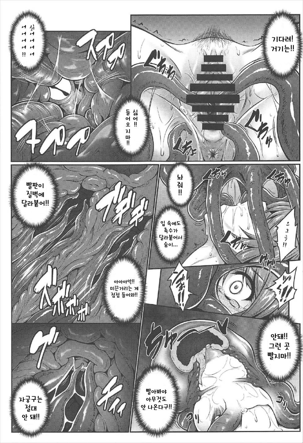 幻想郷奇々怪界〜さなえたこ〜