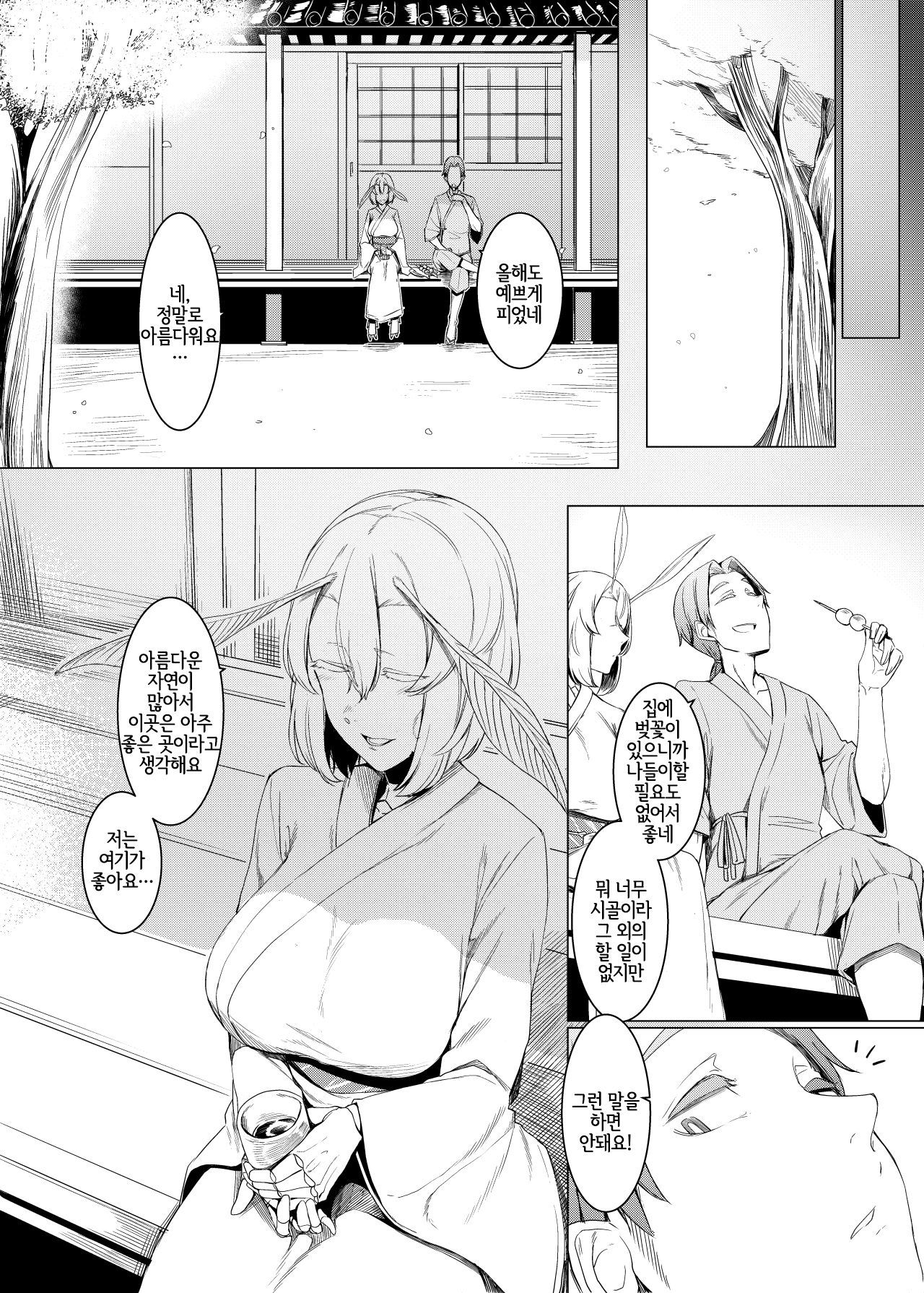 山姫のマユマタ