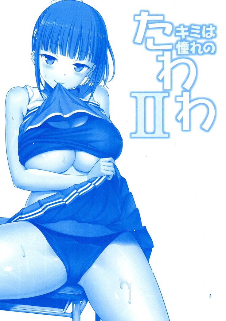 きみはあこがれのたわわII