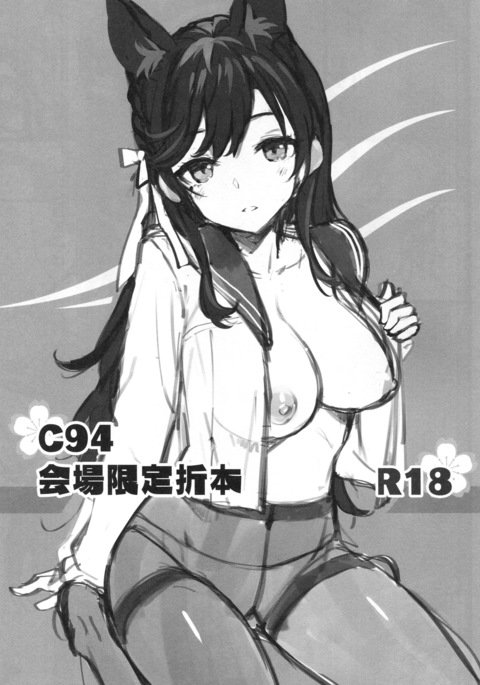 C94海上玄亭折り本| C94회장한정접책