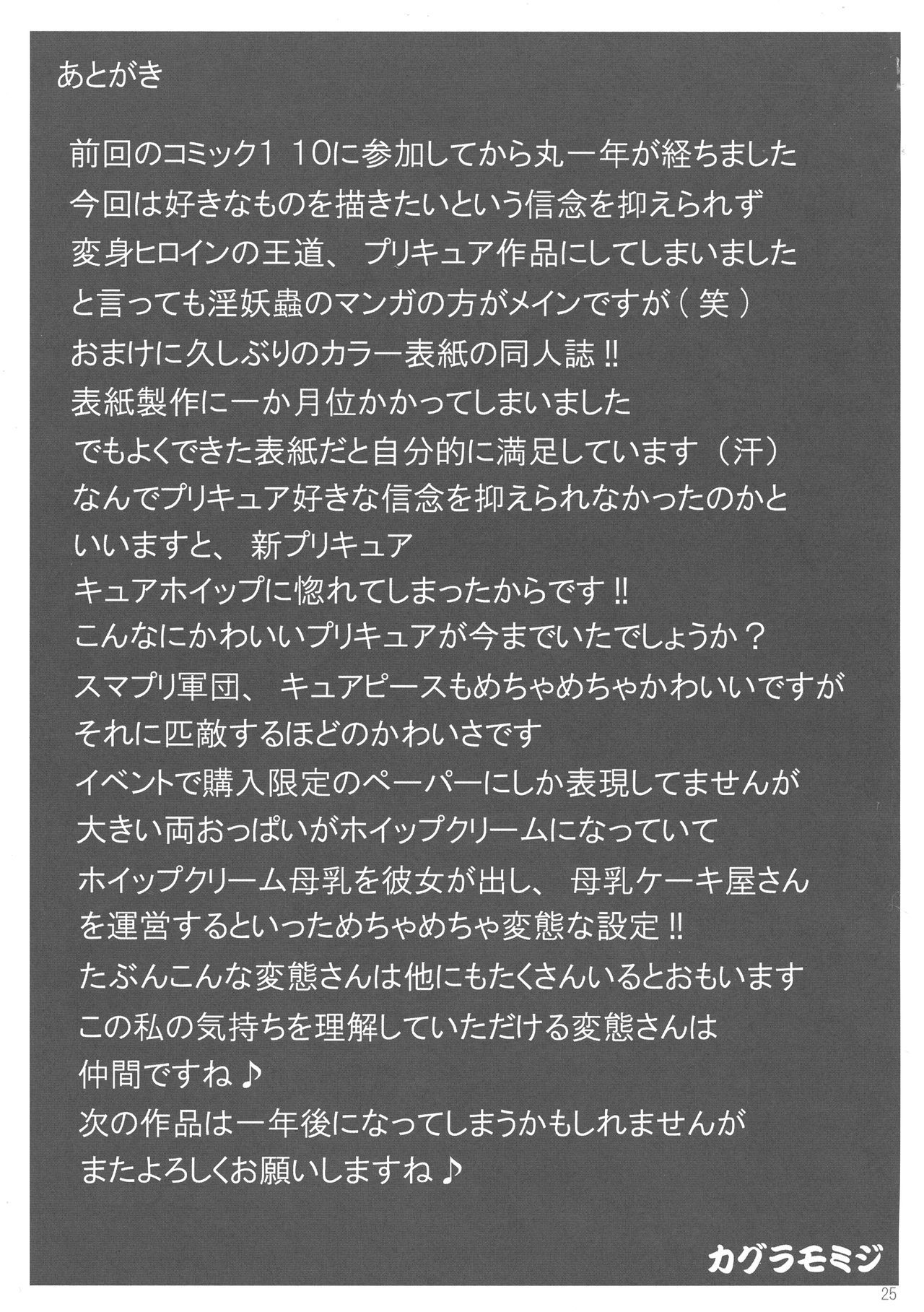 プリキュアオールスターズキュアフローラのハカバ