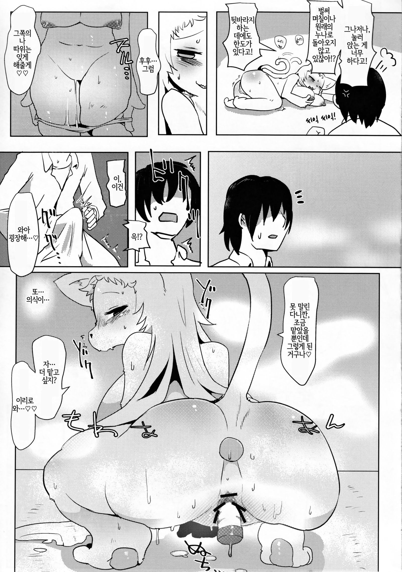 お姉ちゃんマルチブート| 멀티부팅누나