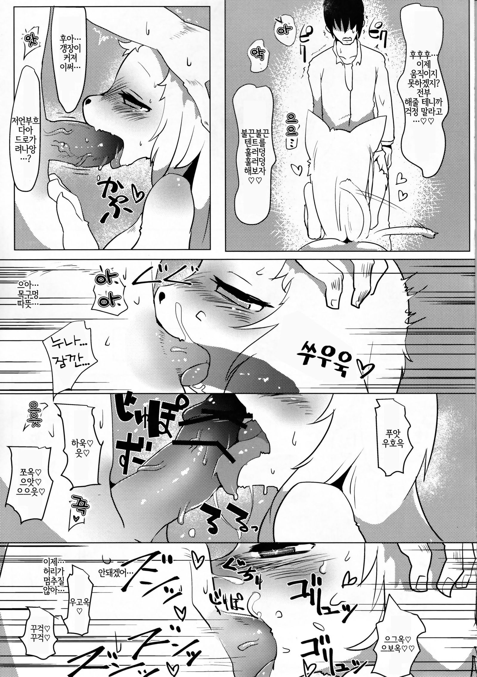 お姉ちゃんマルチブート| 멀티부팅누나