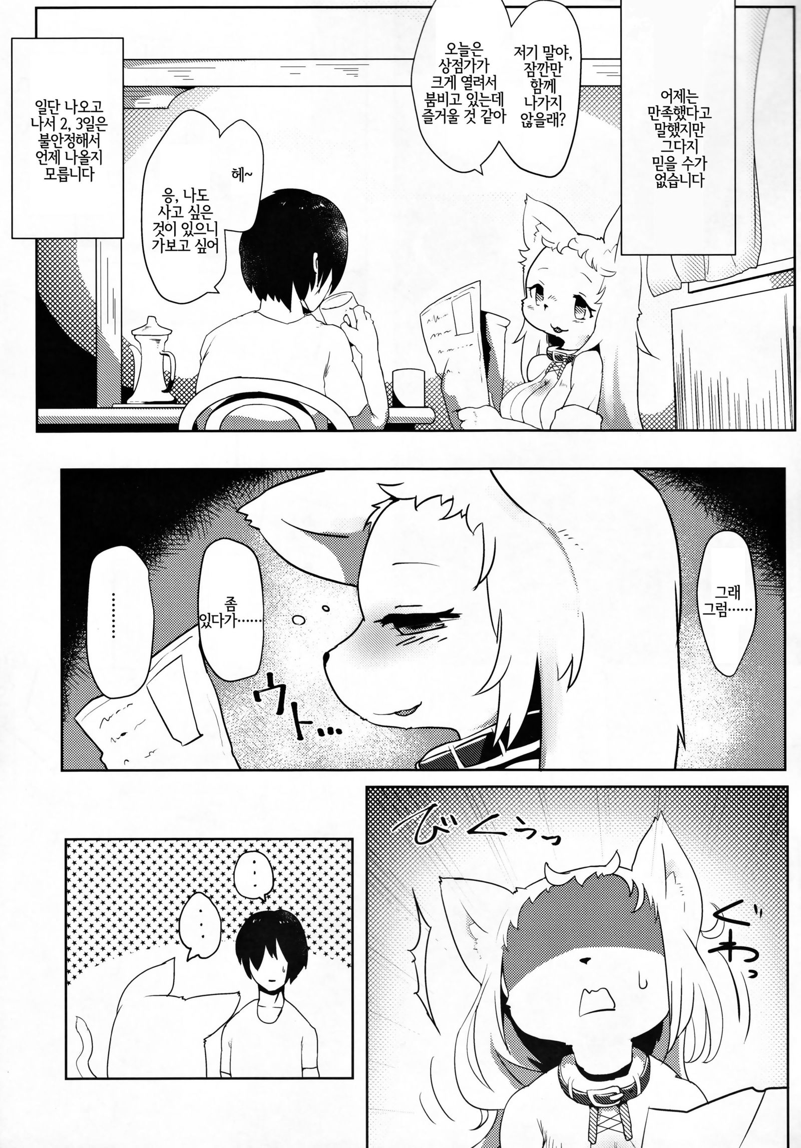 お姉ちゃんマルチブート| 멀티부팅누나