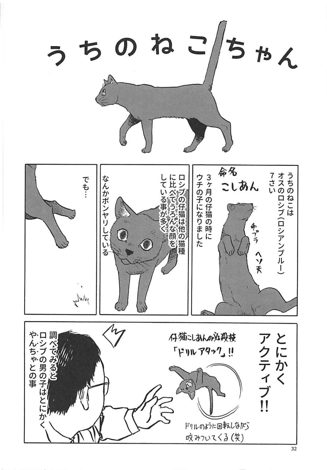 猫のキモチ