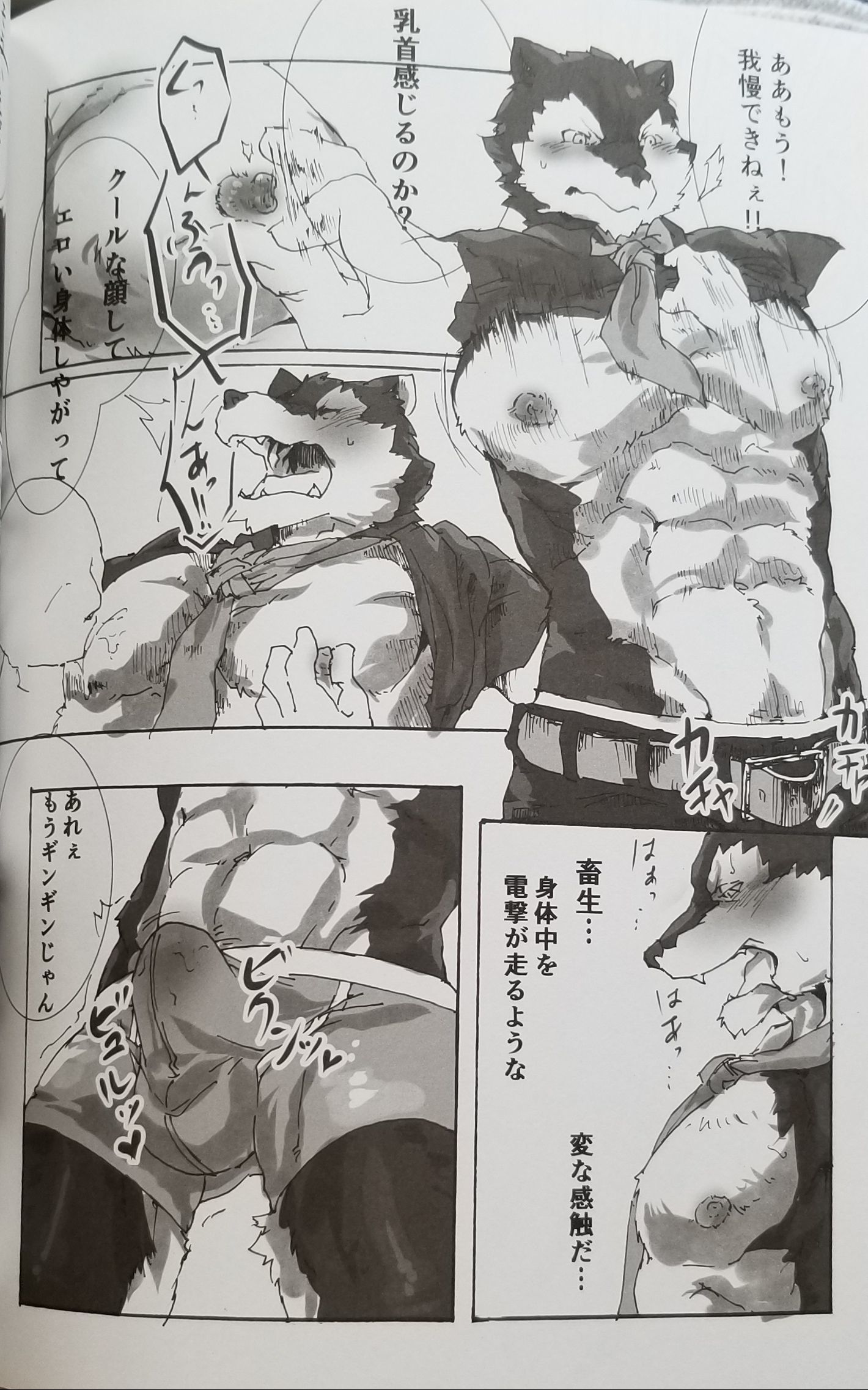 utAuビデオ2