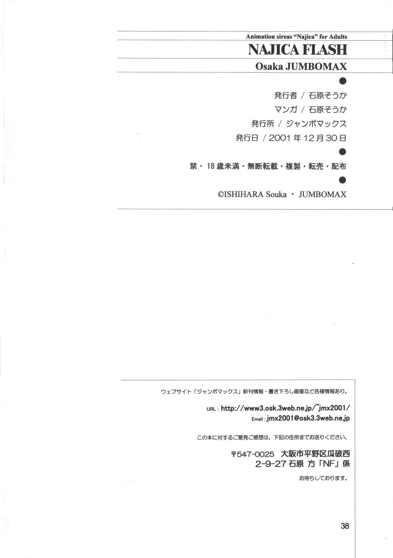 ナジカ電撃作戦 ナジカ電撃作戦