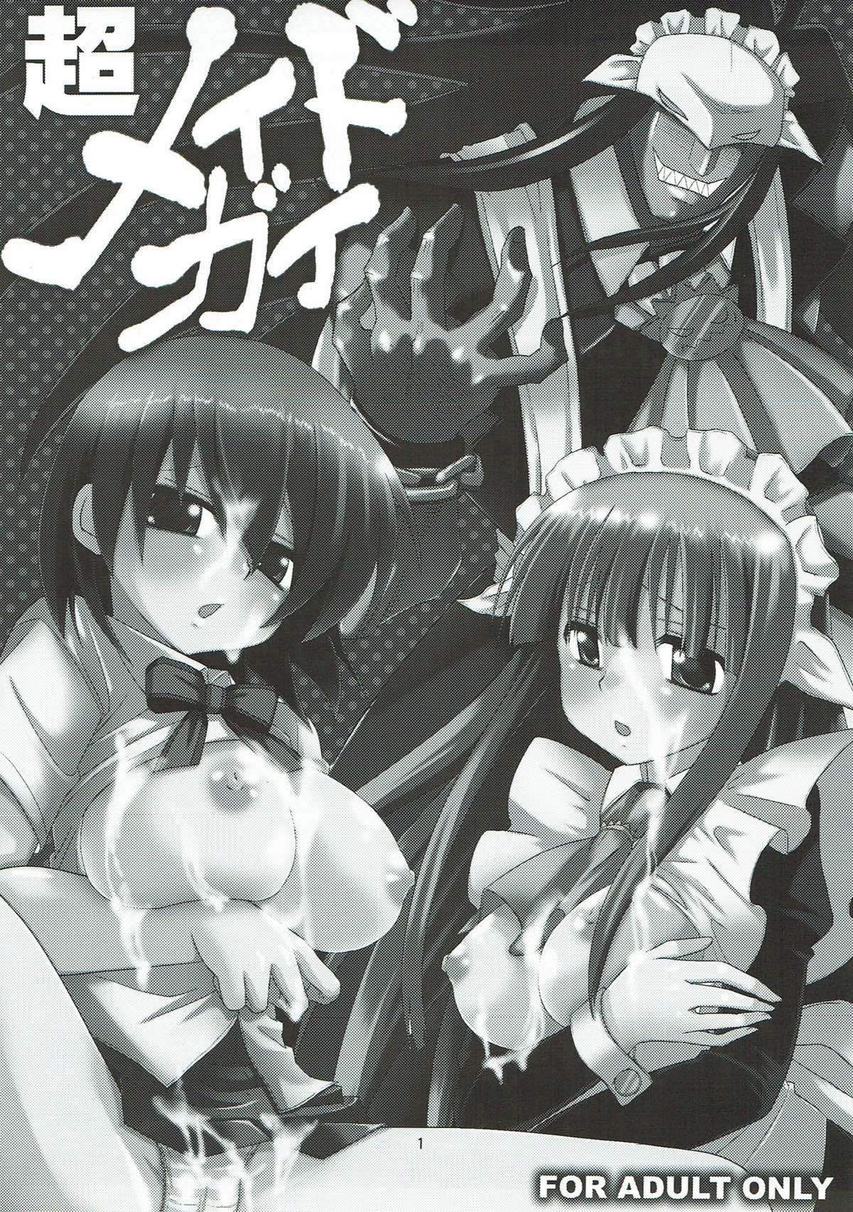 仮面のメイドガイ