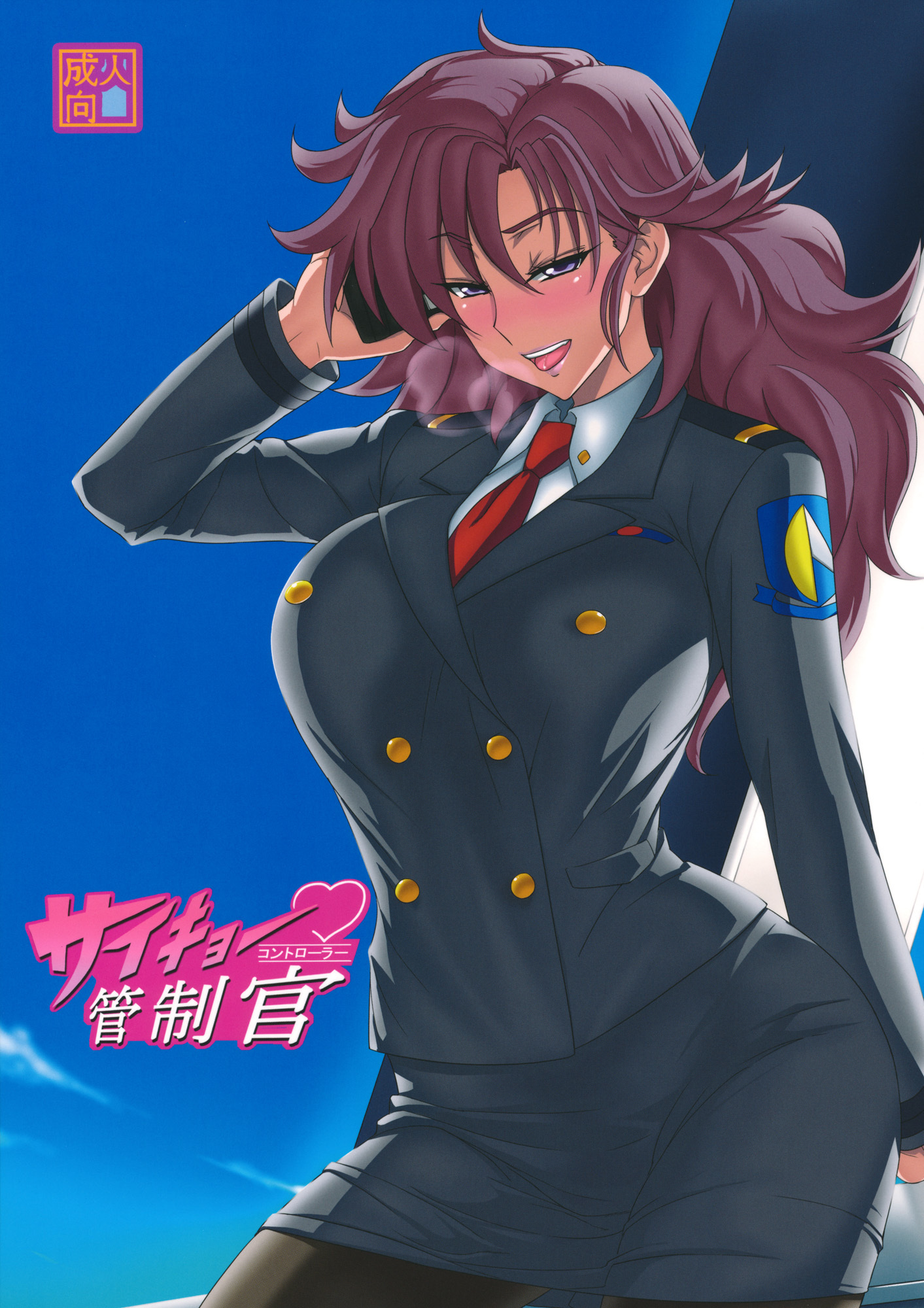 最も強力なコントローラー|西京コントローラー