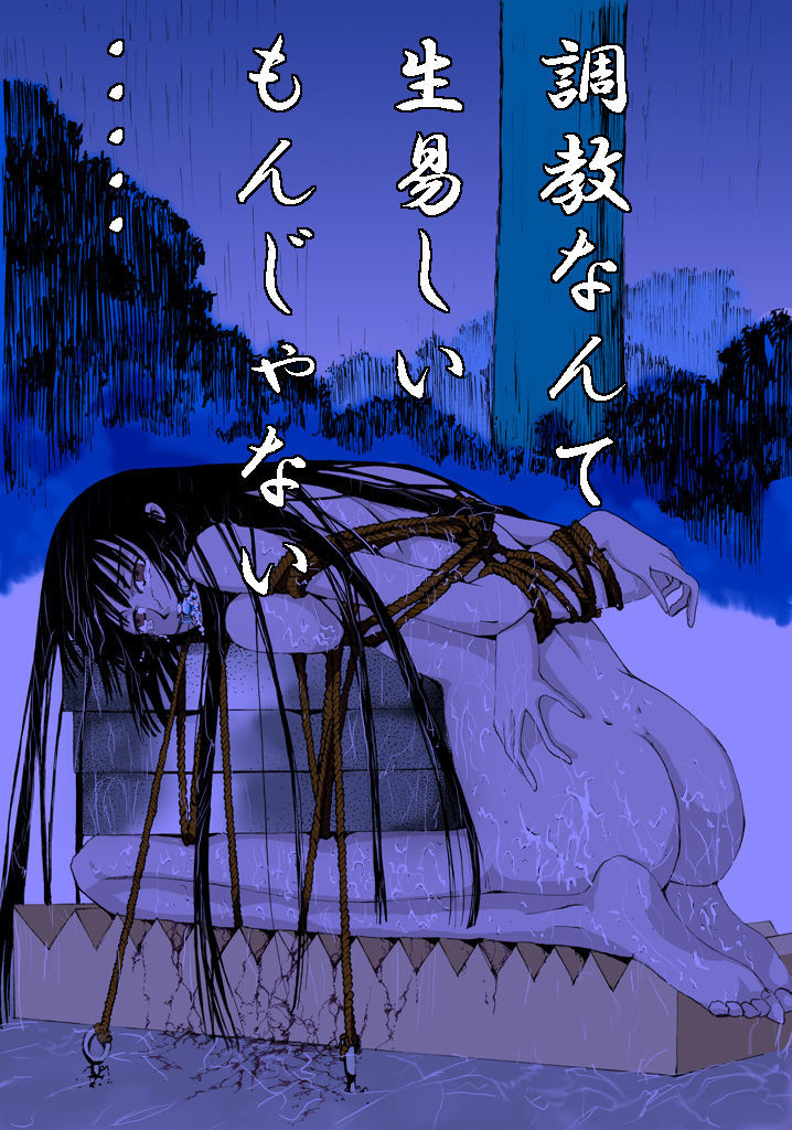 YALICサンプル