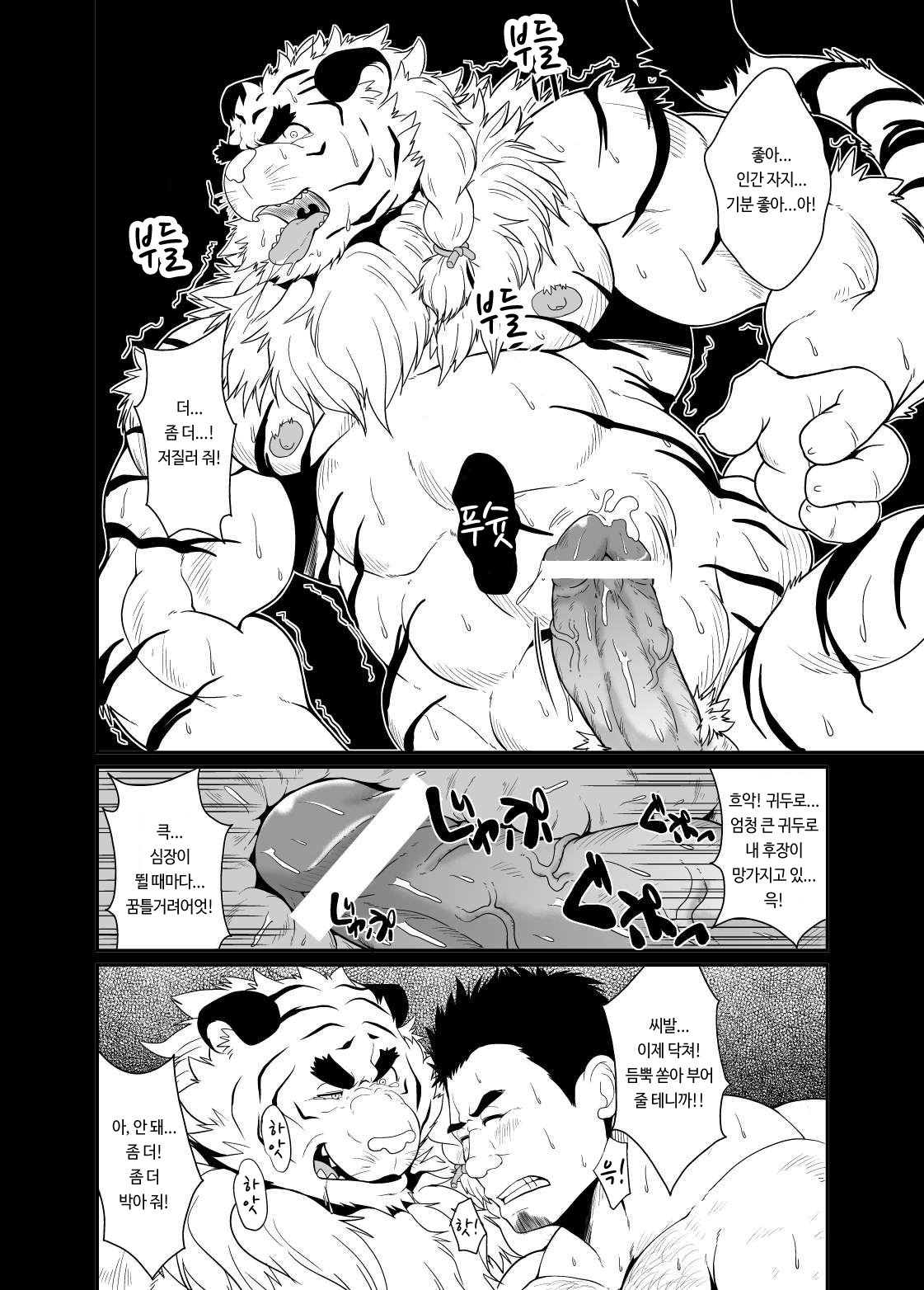 とらどれい-KEMONOCompany 2- | 호랑이노예-KEMONO컴퍼니2-。