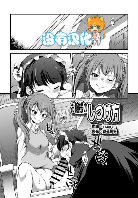 お嬢様のしつけかた