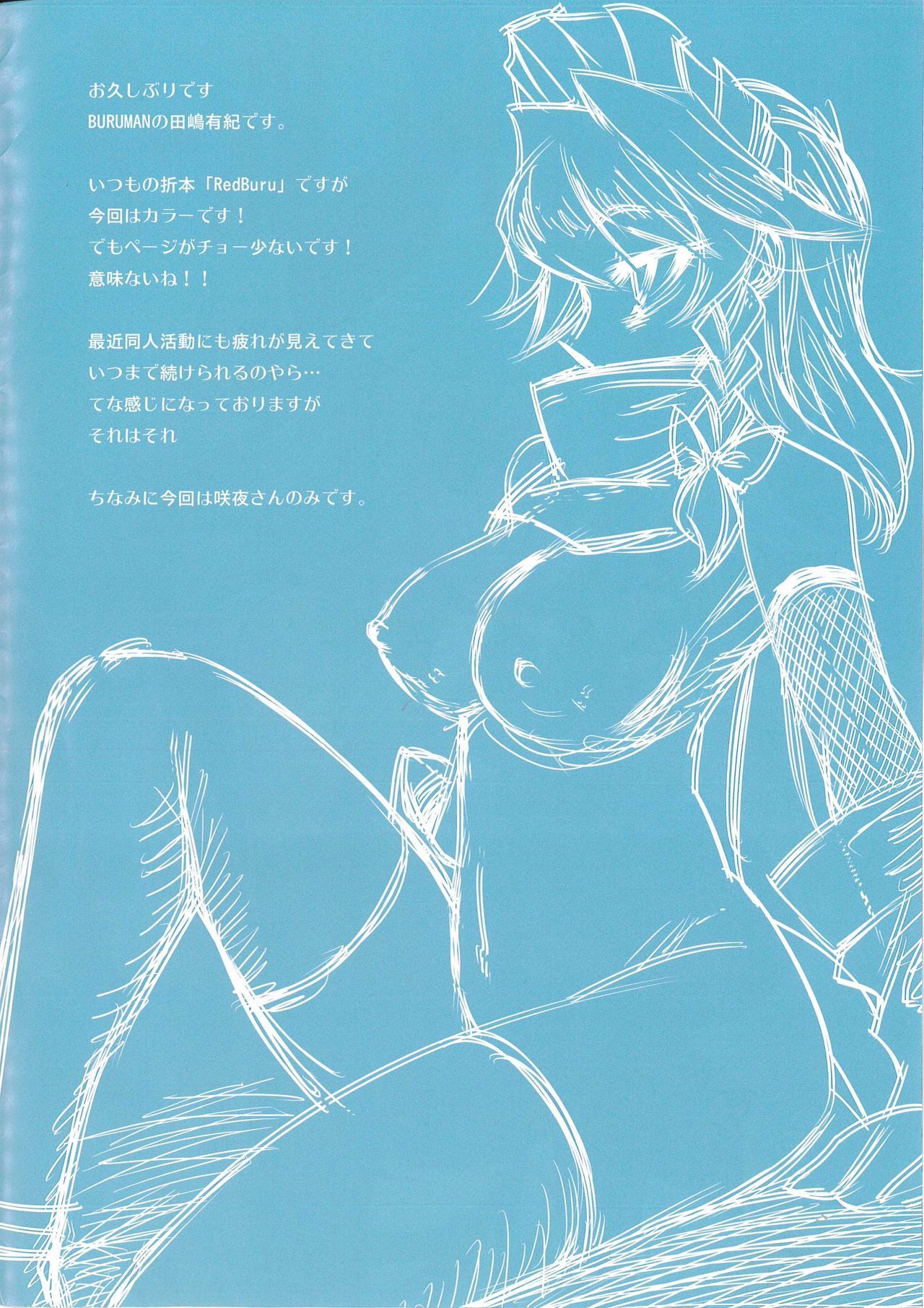レッドブルMk-2