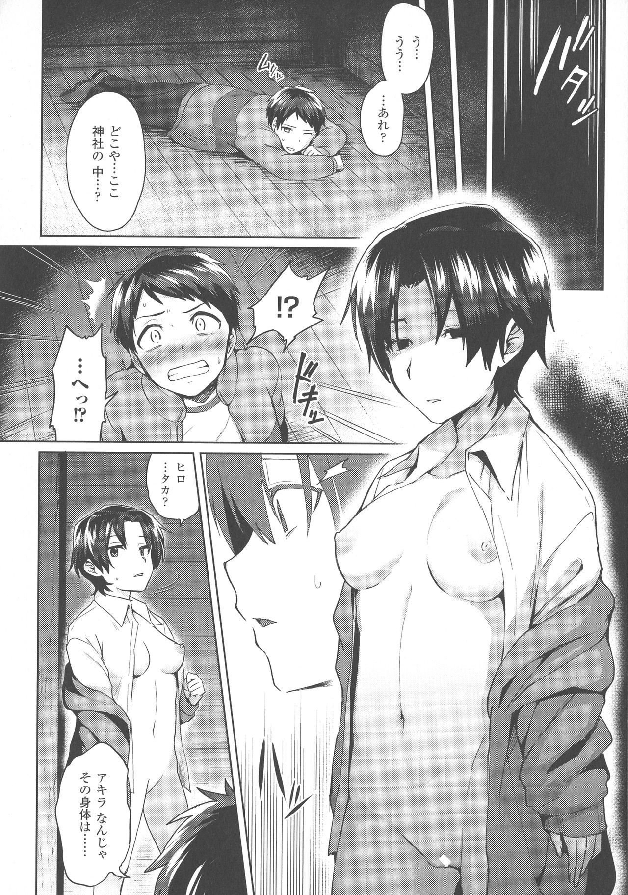 トランスビッチ