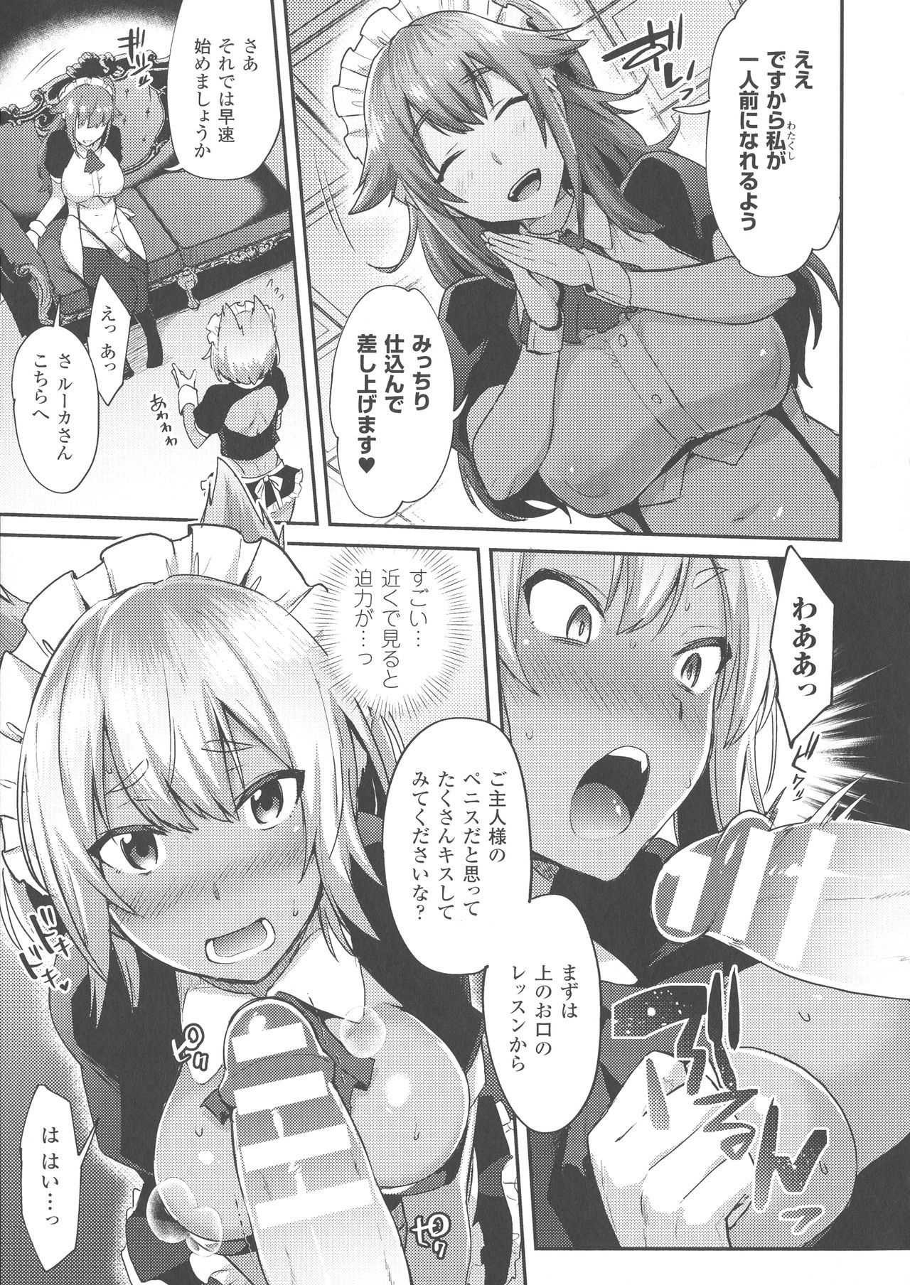 トランスビッチ