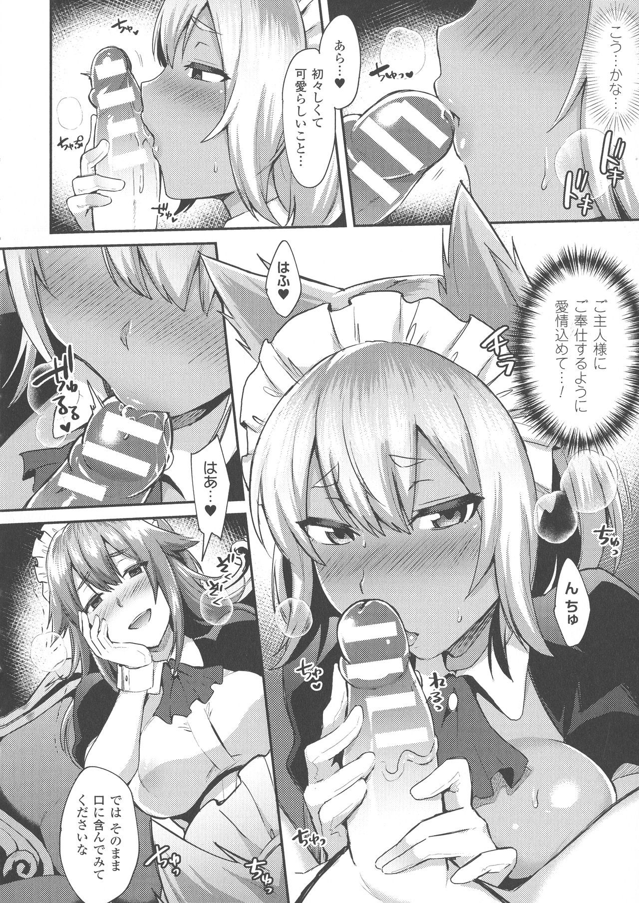 トランスビッチ