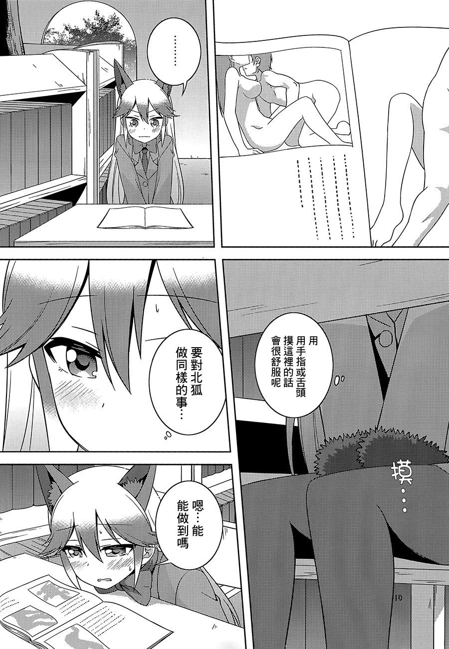 キツネのほうけんたいいく
