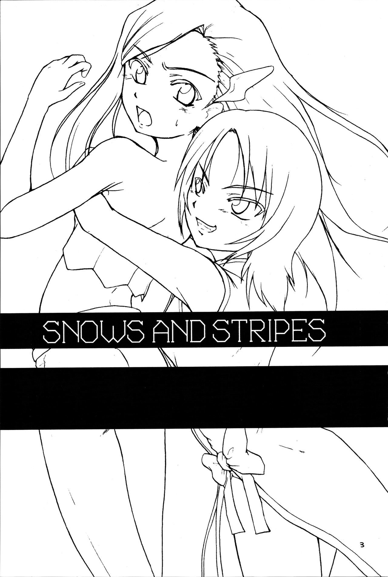 雪と縞
