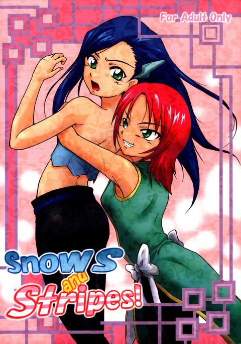 雪と縞 雪と縞