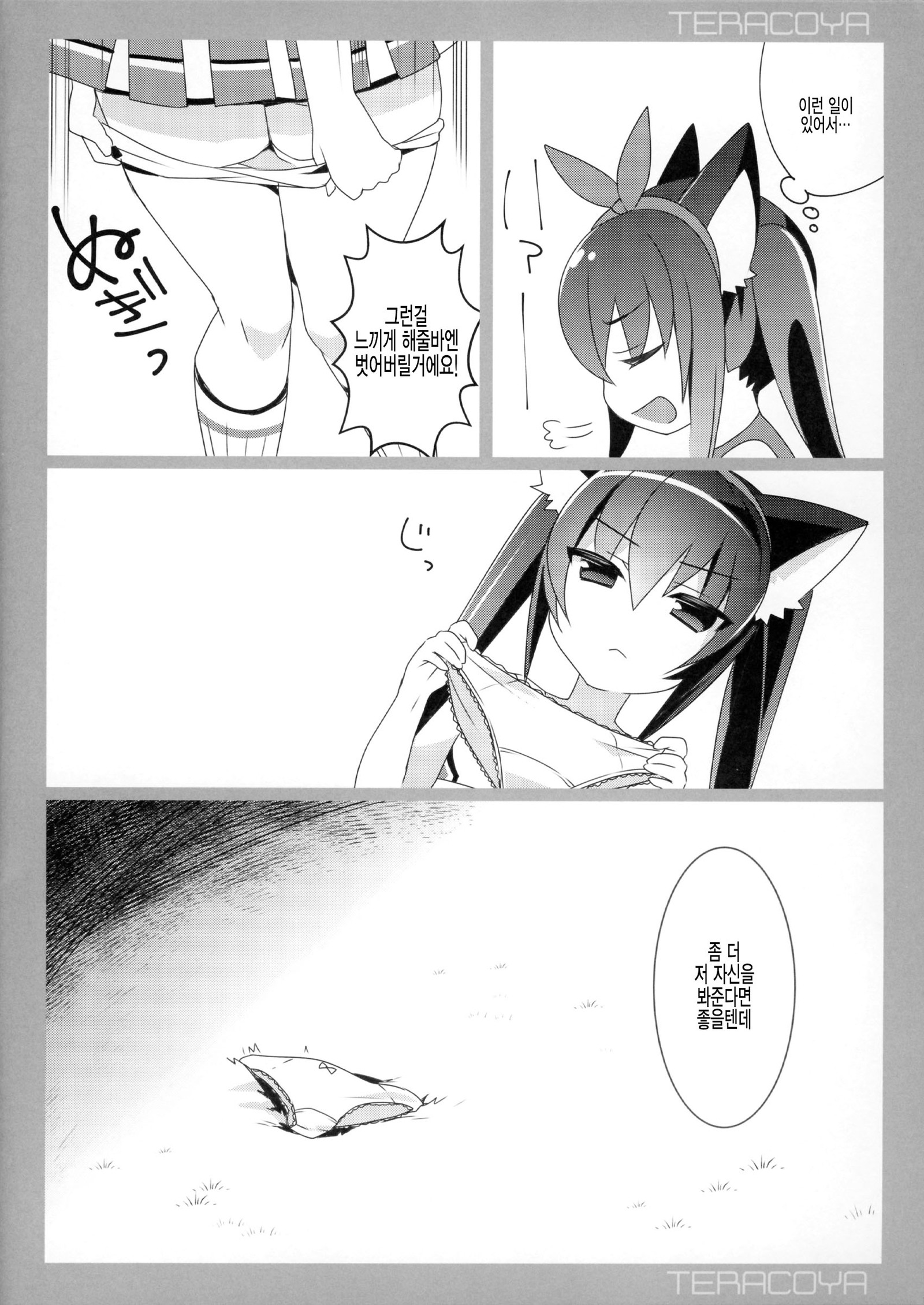 テラコヤ8