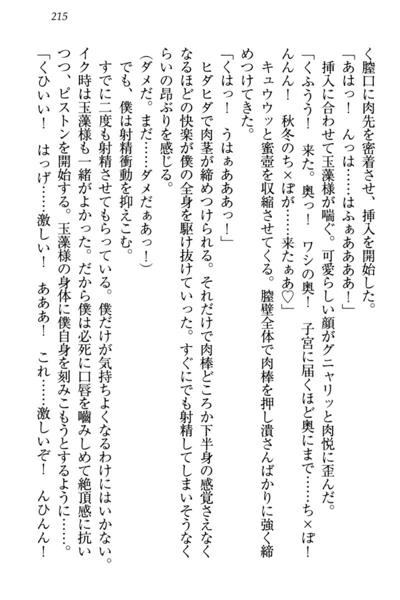 キツネによめいり-九尾の狐様と新金精光