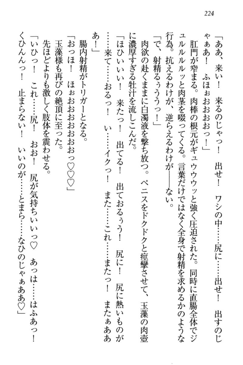 キツネによめいり-九尾の狐様と新金精光