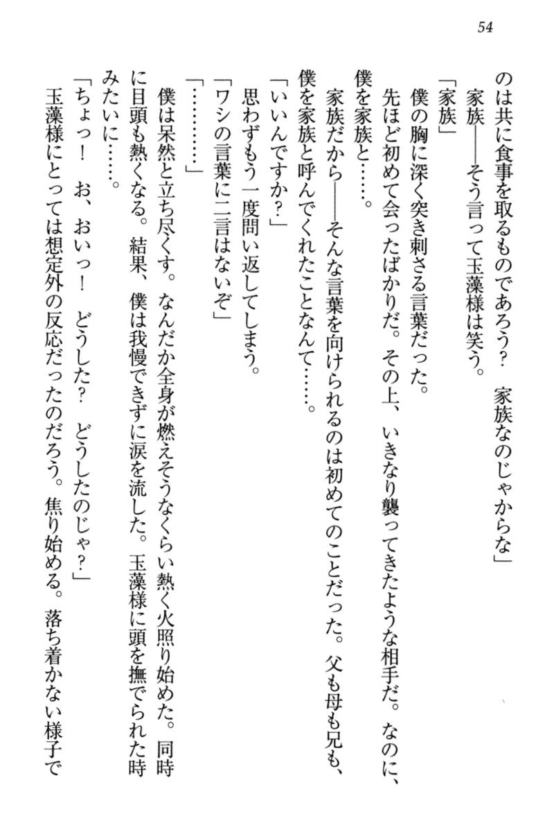 キツネによめいり-九尾の狐様と新金精光