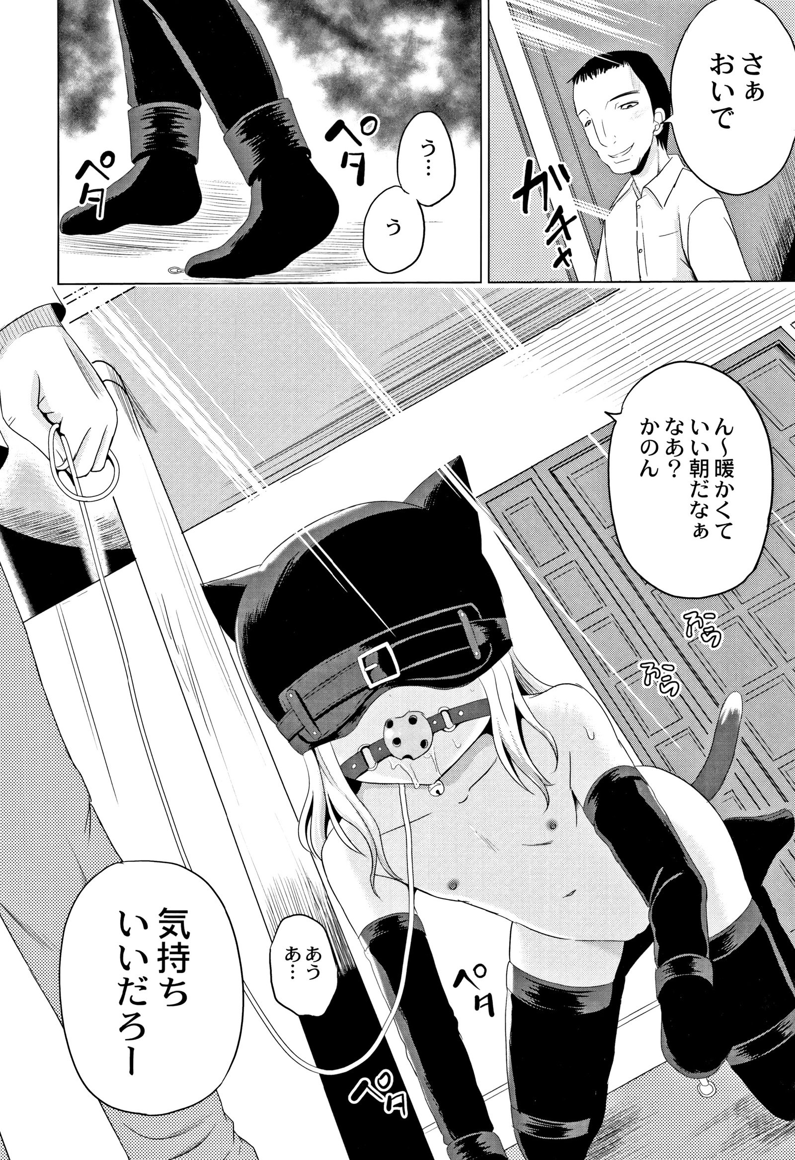 ほうかごはかんいたしき