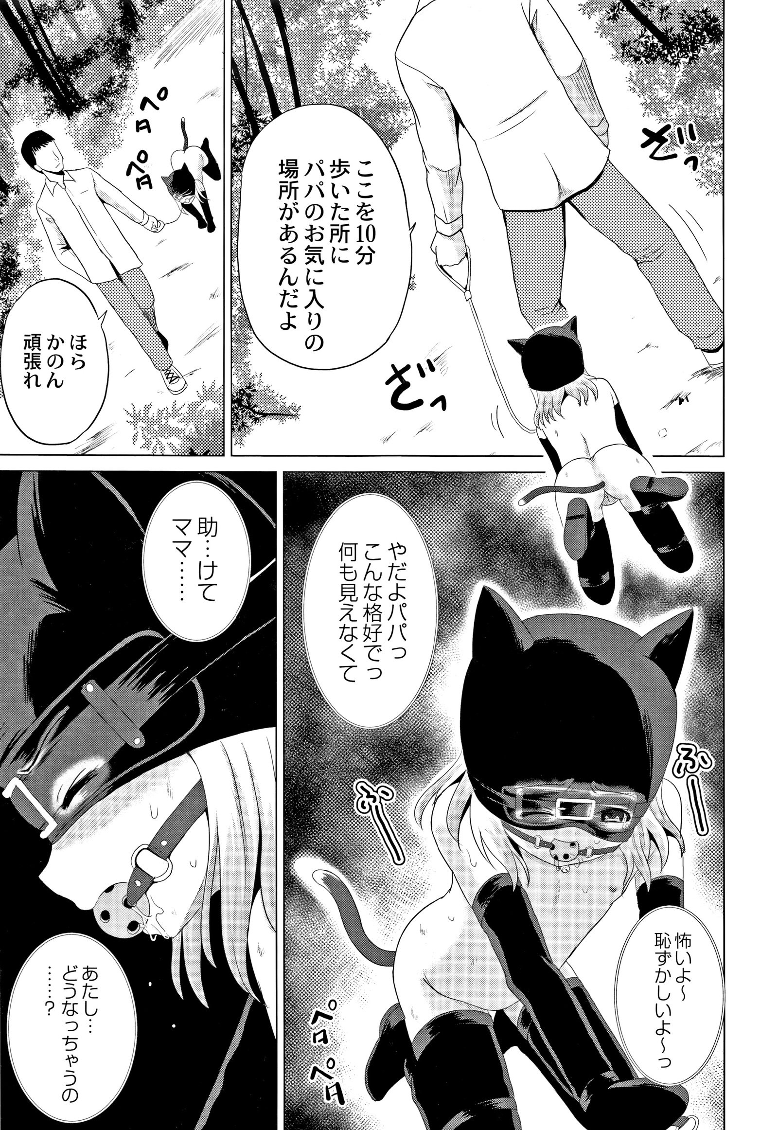 ほうかごはかんいたしき