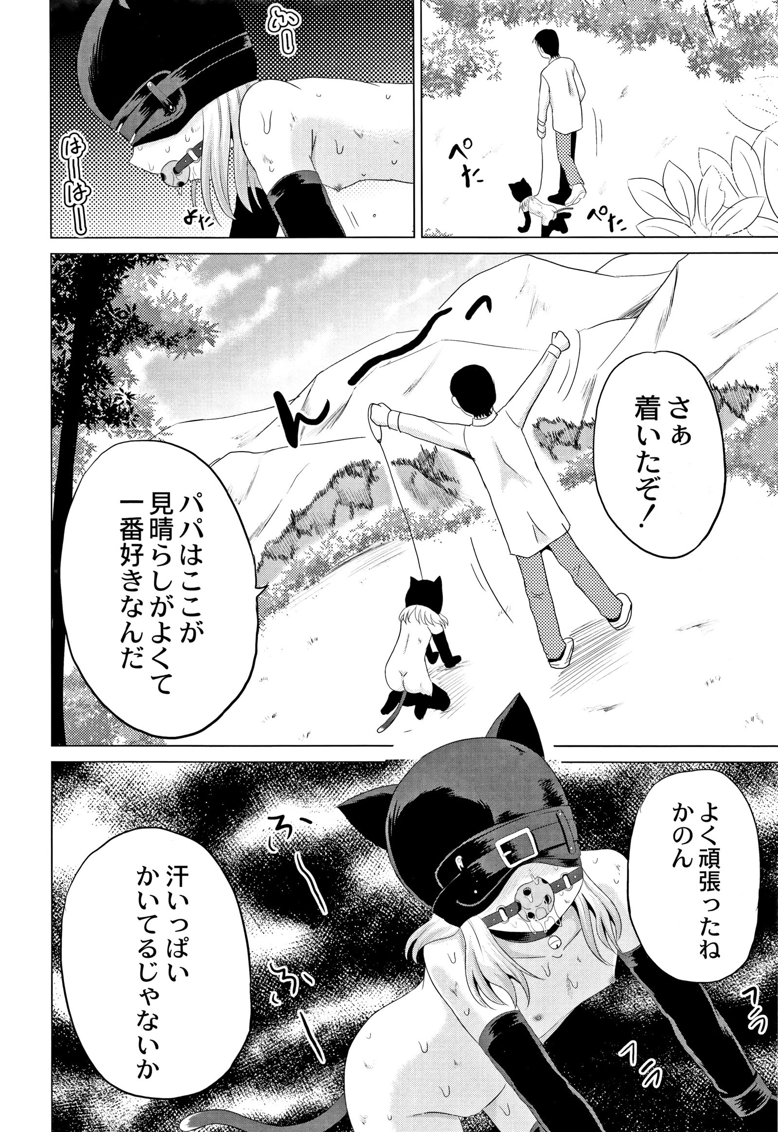 ほうかごはかんいたしき