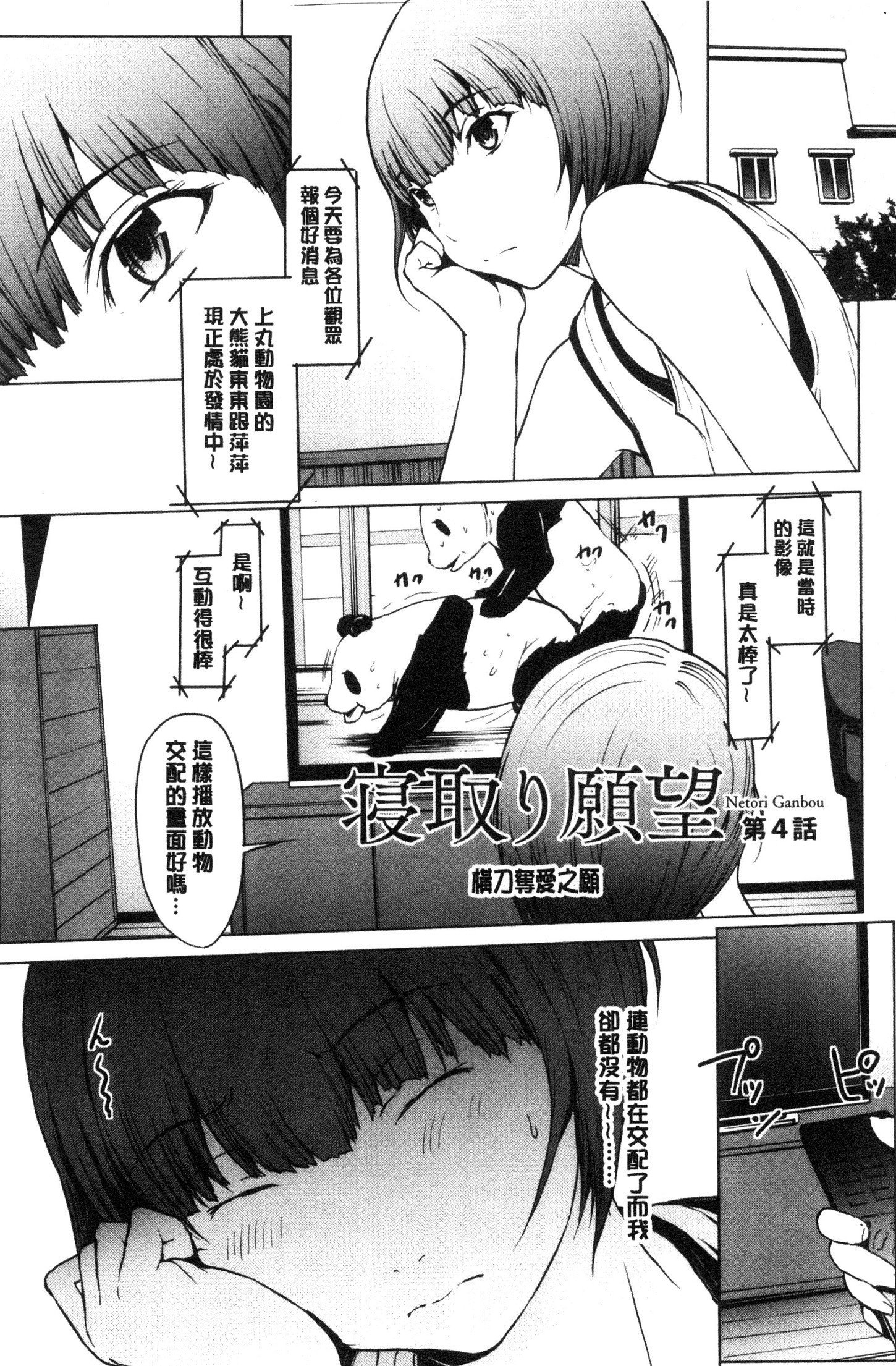 ネトリガンボウ