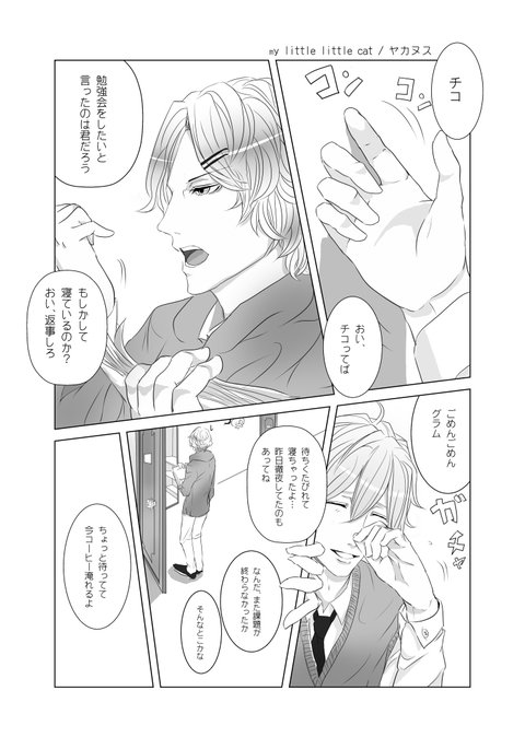 私の小さなlittlr猫