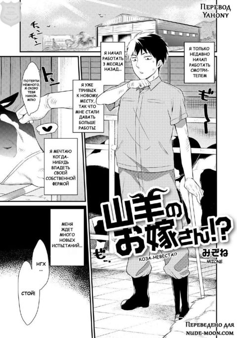 八木のおよめさん!? |ヤギの花嫁!? 八木のおよめさん!? |ヤギの花嫁!?