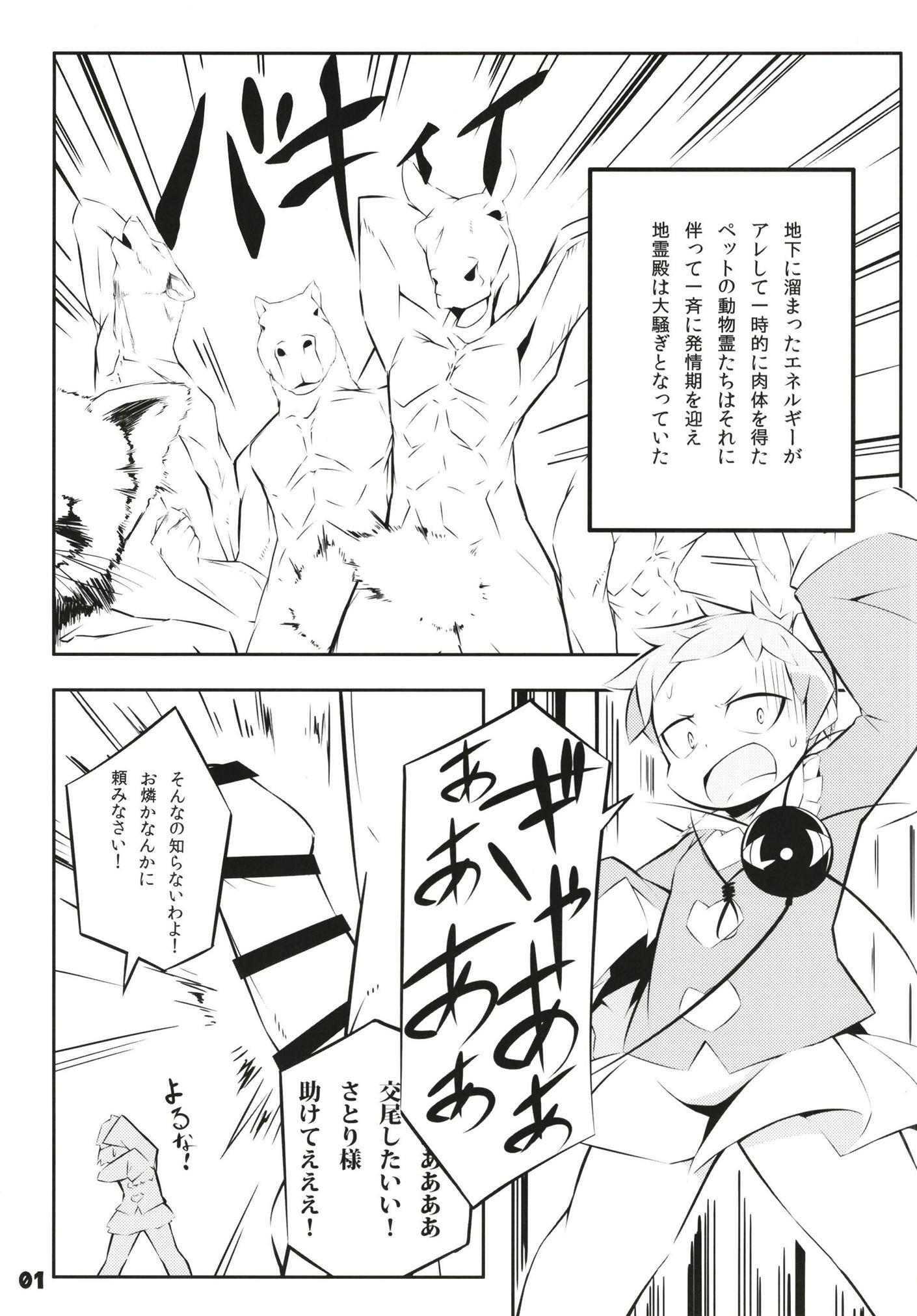 スーパーデコリックス