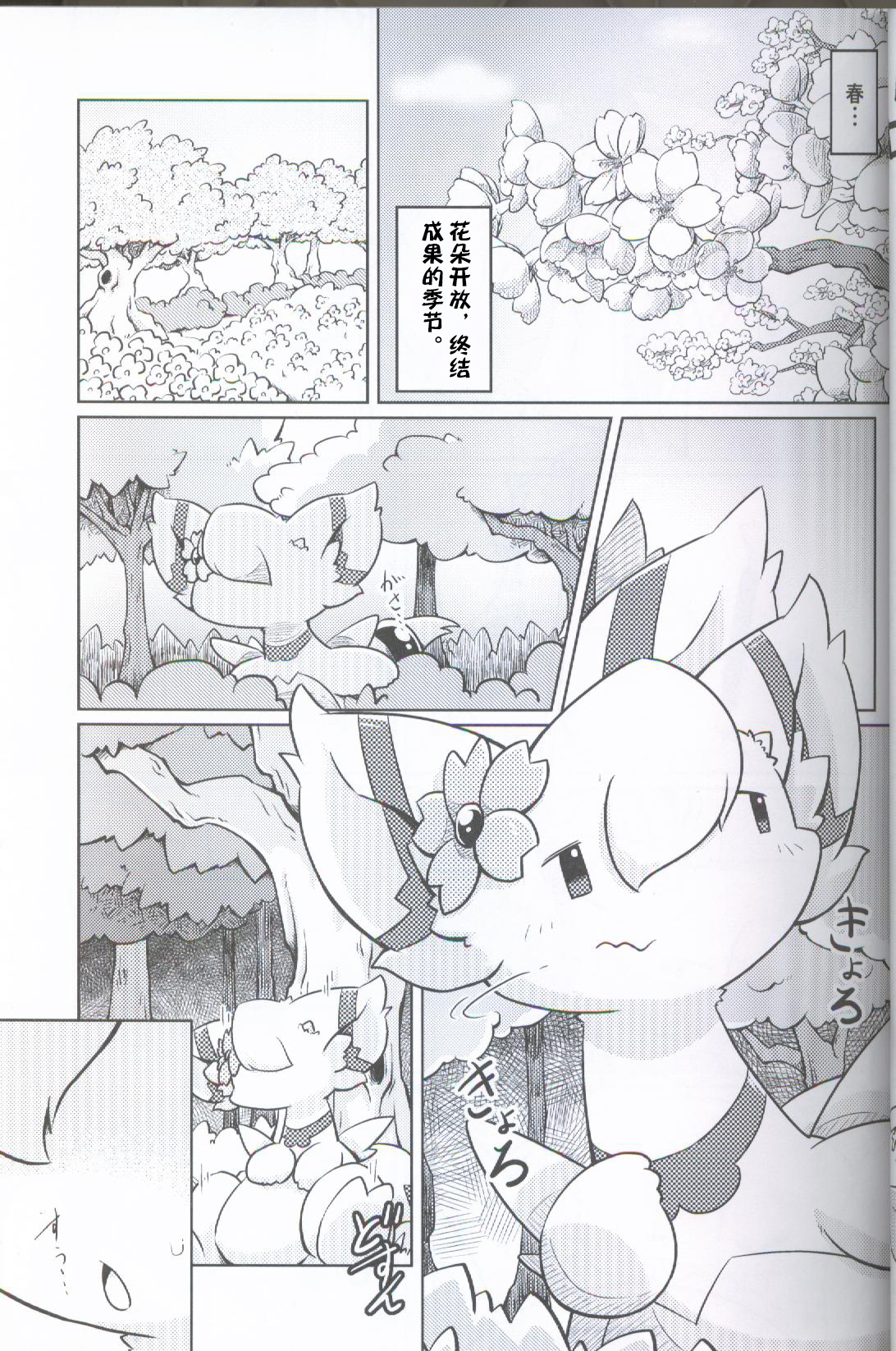 内の光チ