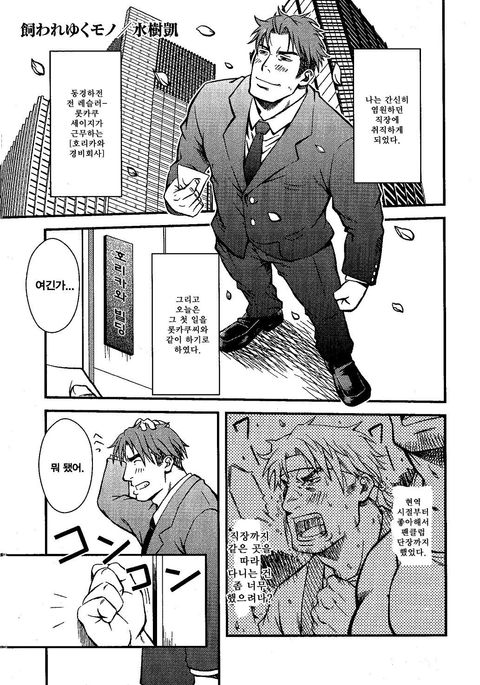 カワレユクモノ| 길러지는물건 カワレユクモノ| 길러지는물건