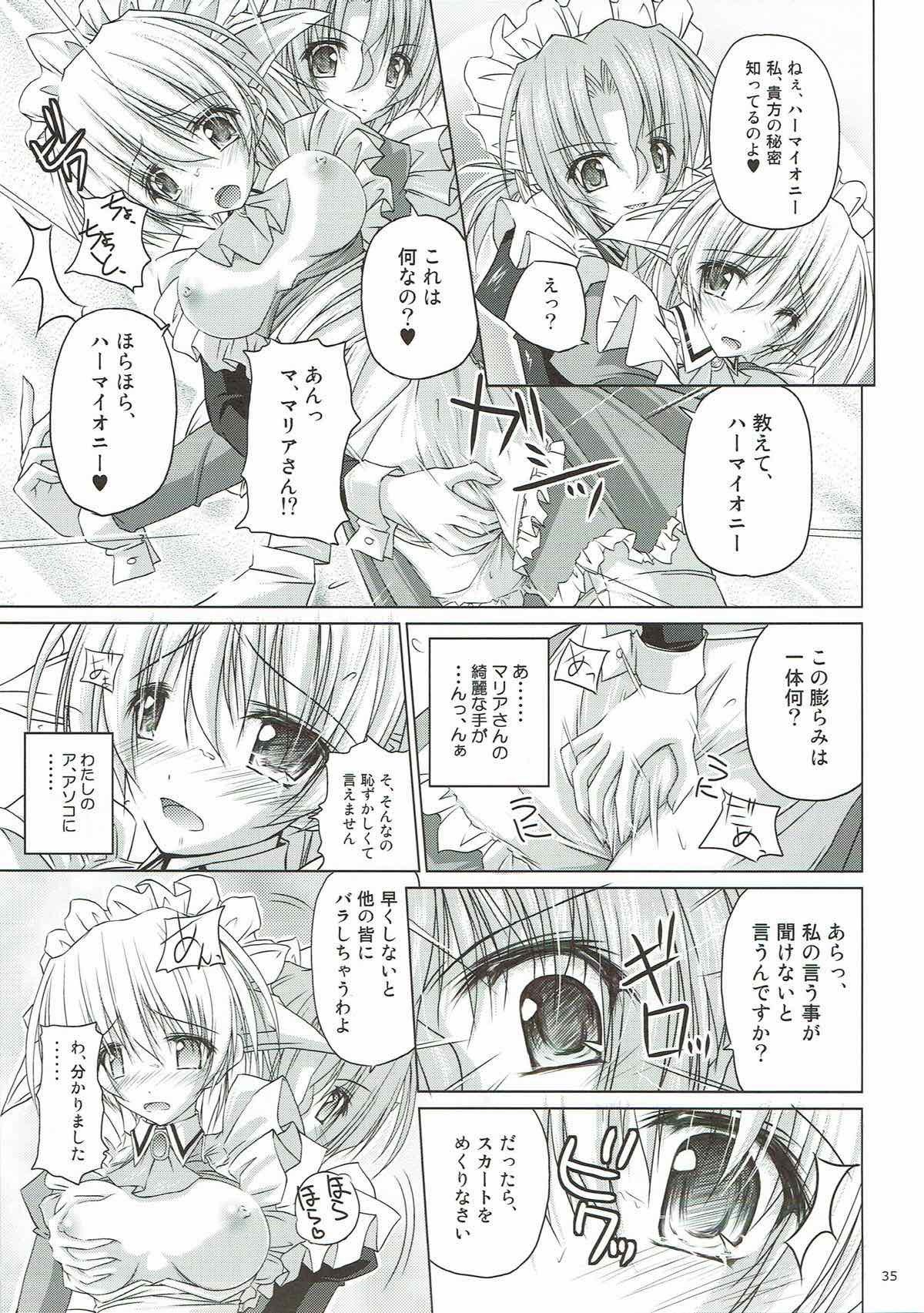 r.i.sアーカイブ1-ハヤテ本総集編- r.i.sアーカイブ1-ハヤテ本総集編-