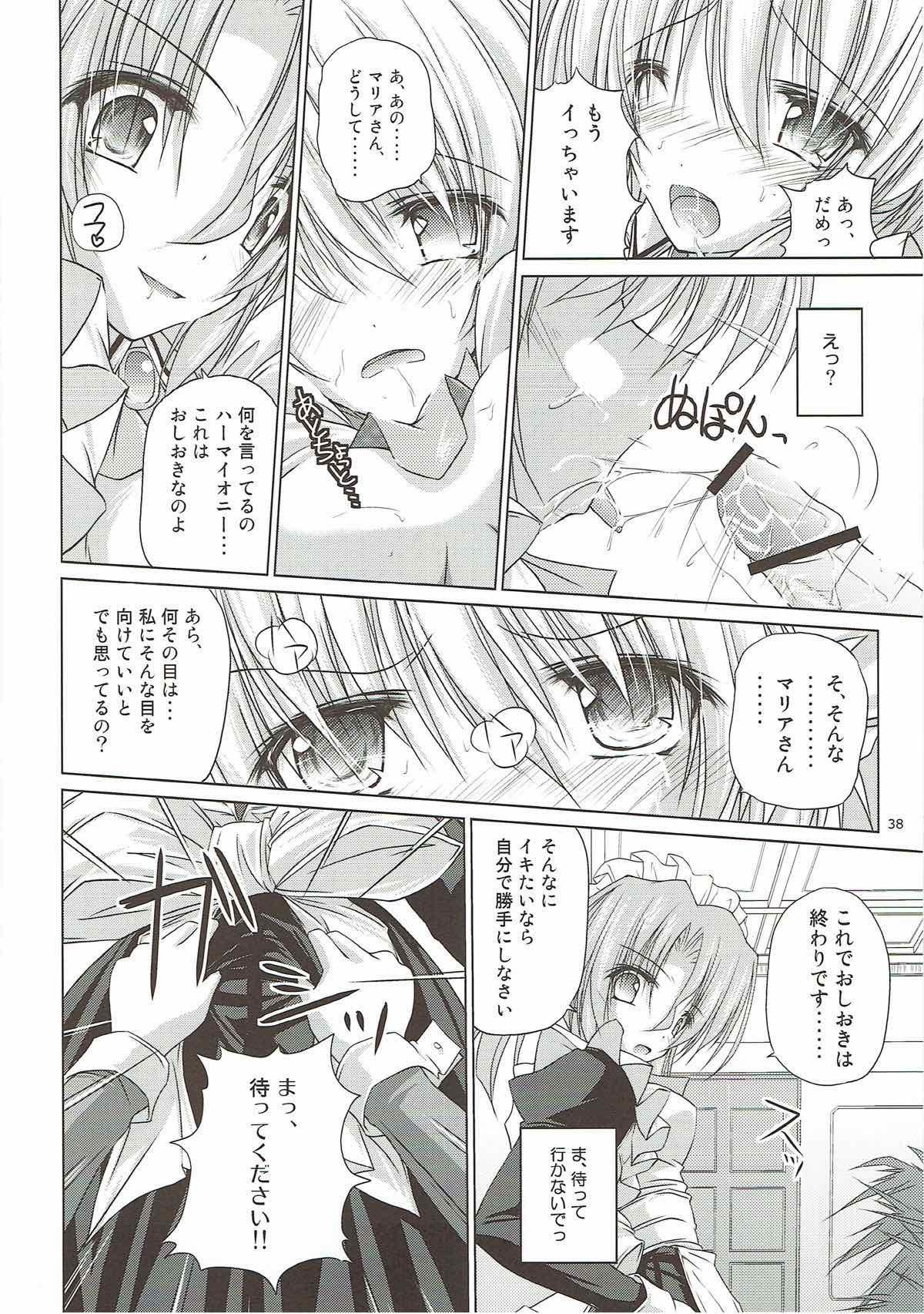 r.i.sアーカイブ1-ハヤテ本総集編- r.i.sアーカイブ1-ハヤテ本総集編-