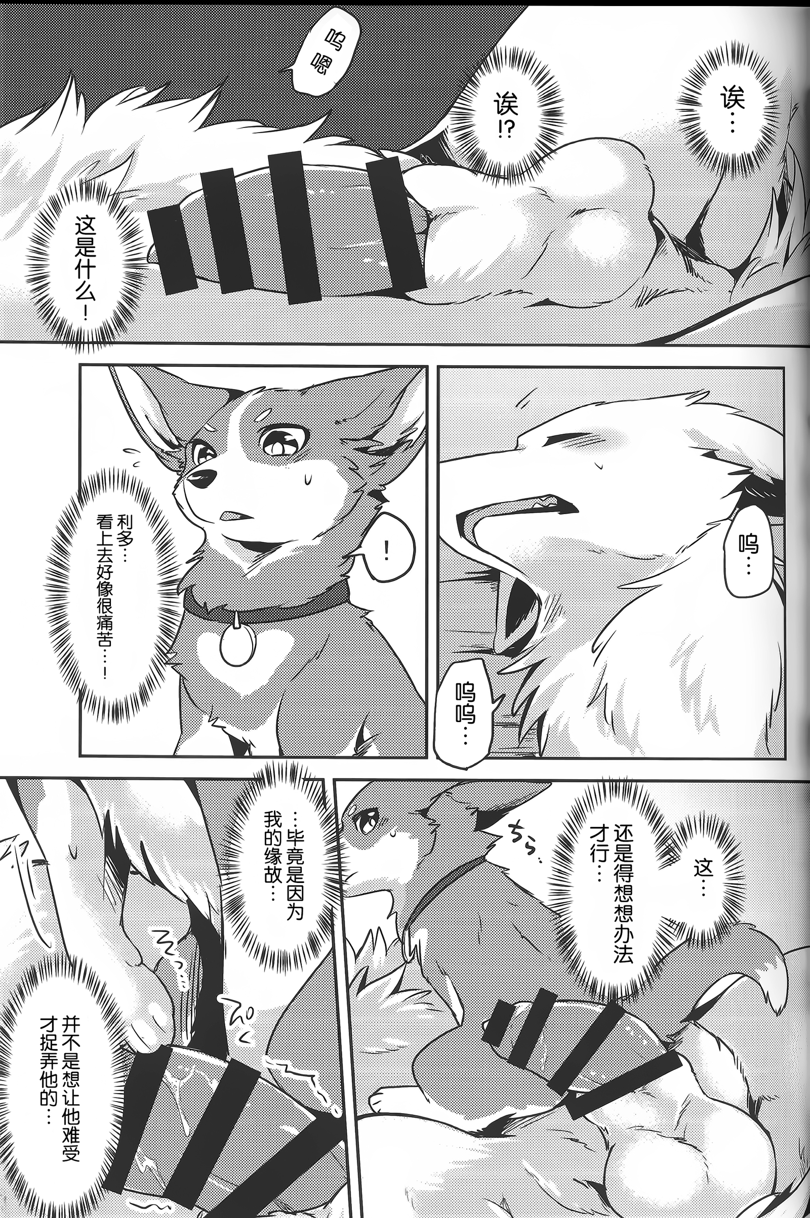 1DK、ぼくらと。 |恋人小公寓、与我俩。