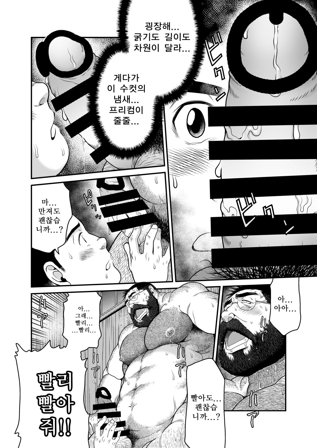 ひぐま| 왕곰