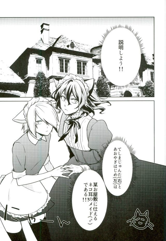 ねこみみメイドかれし3
