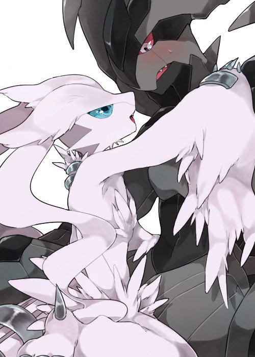 ゼクロムくん、スワレル