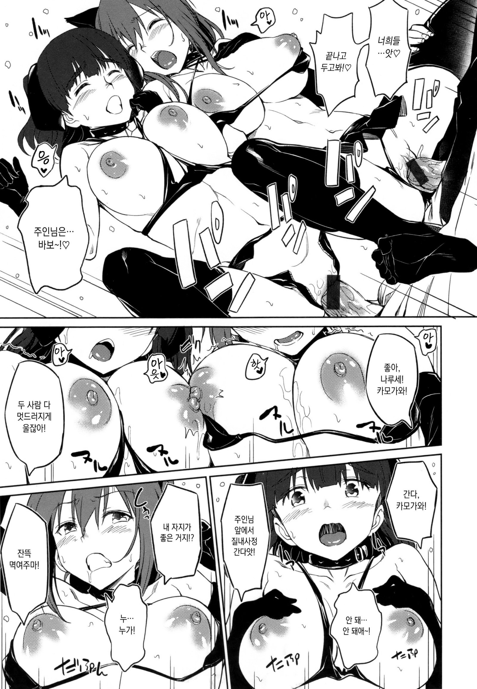 パコラッシュ！