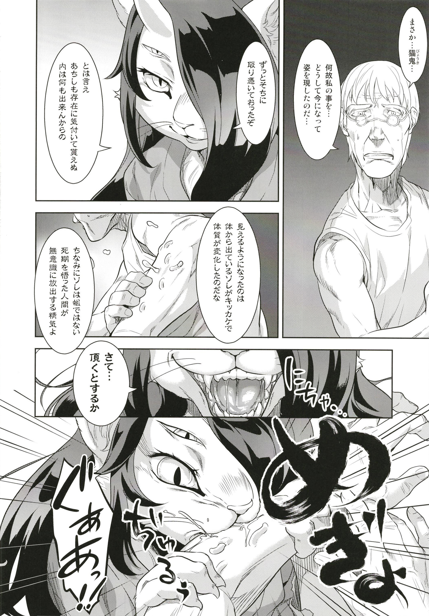 猫が北儀