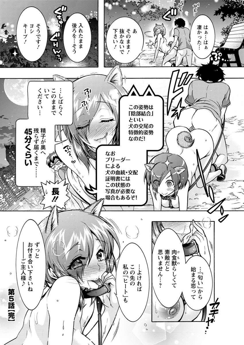 ちょうちょう日食系女子Ch.1-8