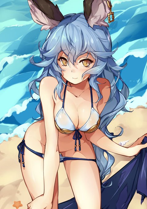 フェリーちゃんがしてくれる本 フェリーちゃんがしてくれる本