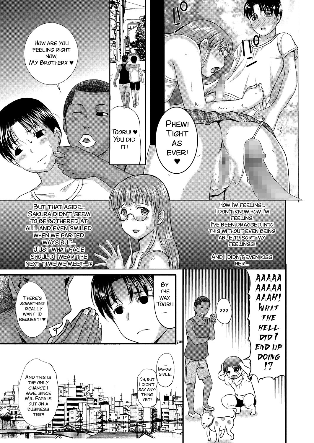 ホームステイデイドリームシリーズNo.8