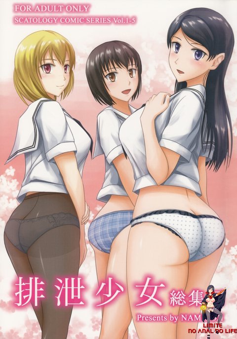 はせつ少女そうしゅうへん はせつ少女そうしゅうへん